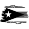 Flag of Puerto Rico